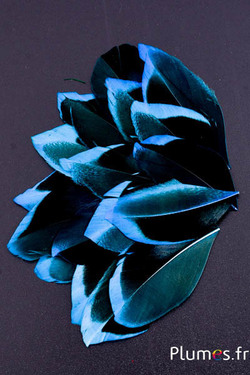 Pétales en plumes - 5-8 x 3-4 cm - turquoise-noir